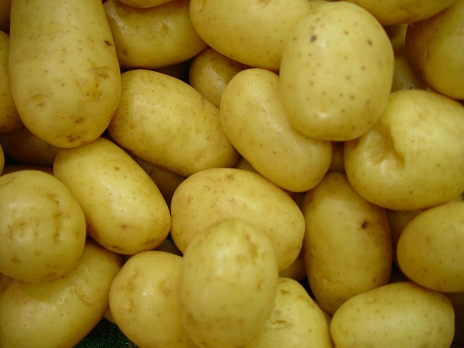 Potatoes, Vegetables, Raw, Uncooked, frisch, vegetarian, potato, food, ingredient, eat
