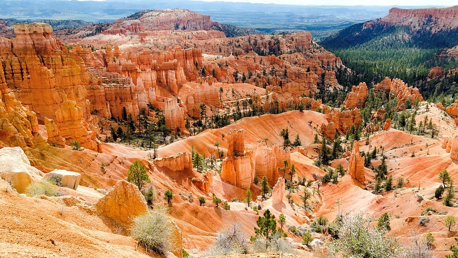 usa, bryce canyon, landscape, national park, nature, utah, gorge, rock, park, canyon