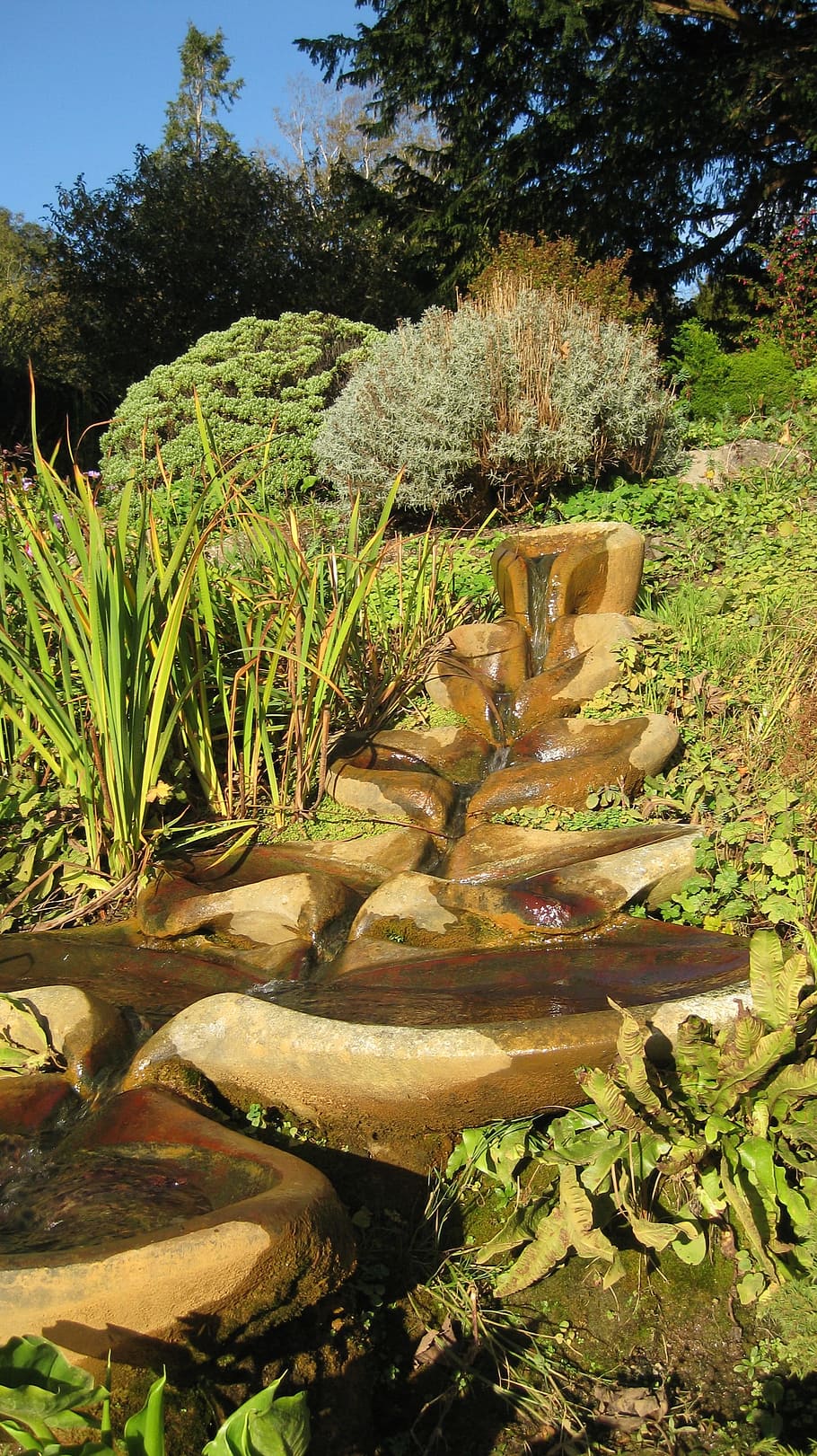 flowform, glastonbury, 성배 정원, 물, 물 특징, 폭포, 물 흐름, 정원, 식물, 나무