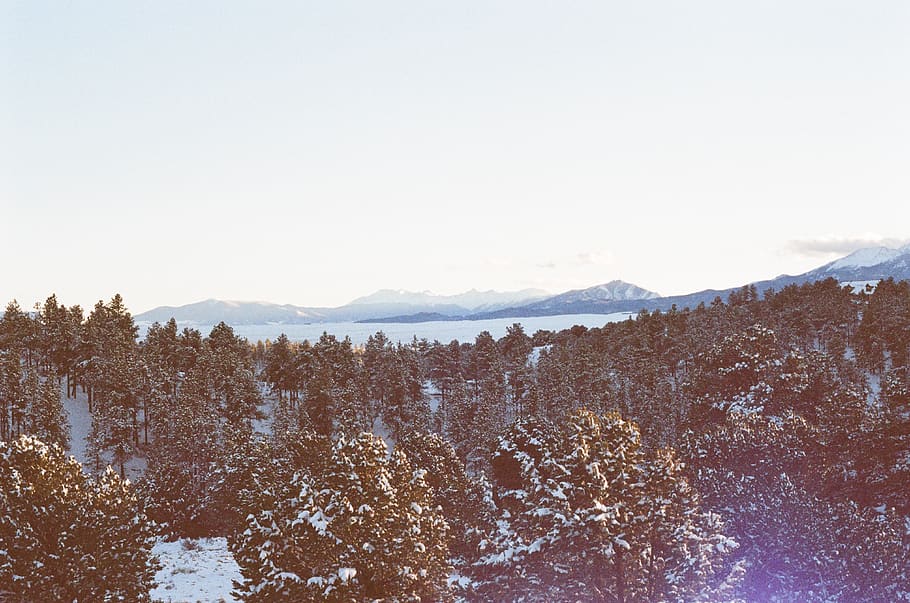 colorado, puesta de sol, cielo, montañas, picos, árboles, al aire libre, nieve, invierno, frío