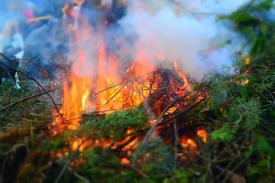 Easter Fire, Branches, Leaves, fire, green, easter, burning, forest fire, flame, heat - temperature