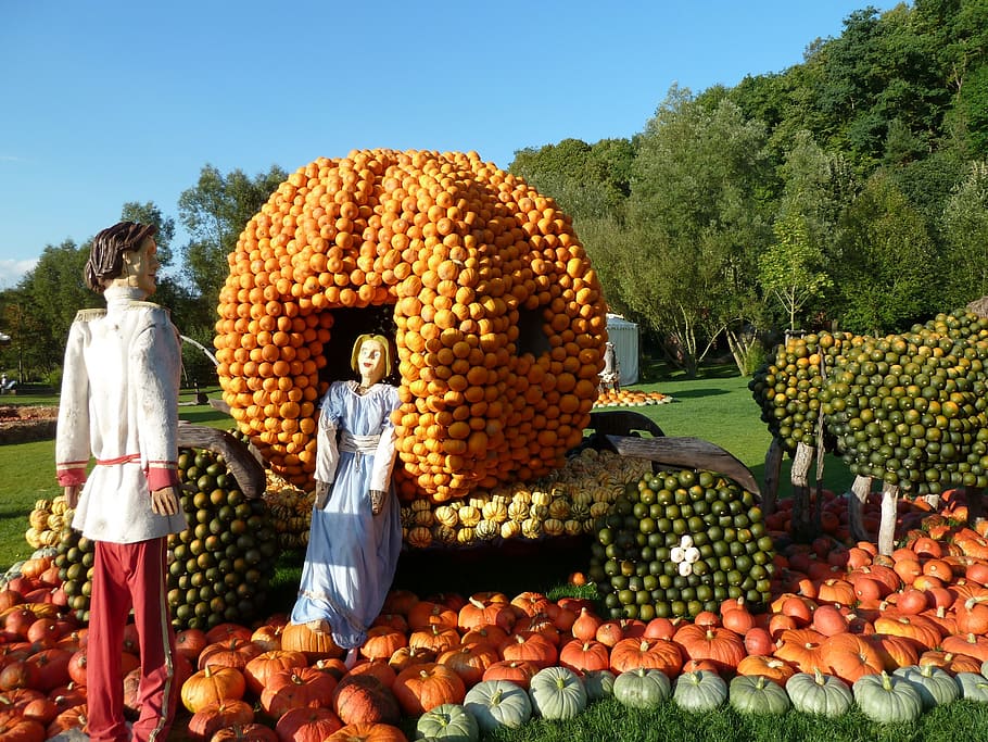 cinderella, pumpkin, autumn, fairytale, carriage, food and drink, healthy eating, food, fruit, day