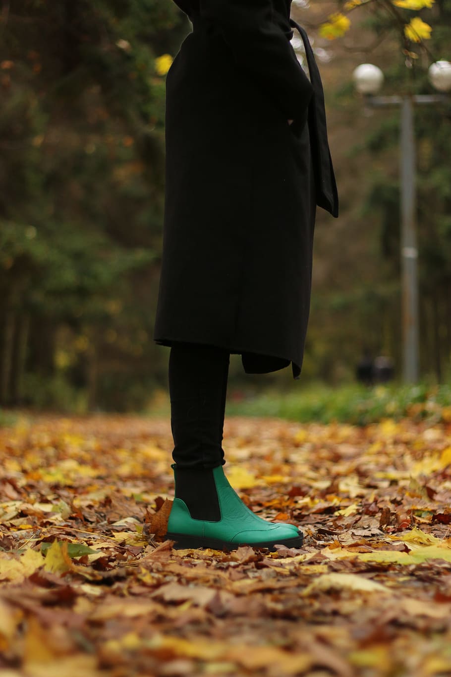ella, karabadgak, zapatos, verde, otoño, hojas, octubre, abrigo, negro, paisaje