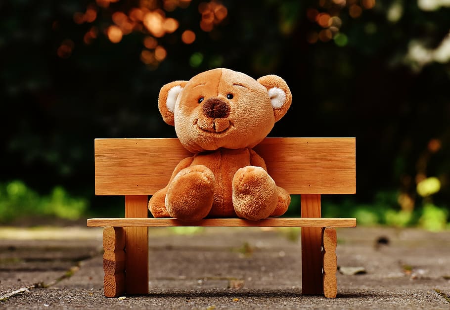brown, bear, plush, toy, sitting, bench, teddy, bank, sit, teddy bear