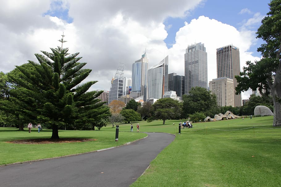 Sydney, Botânico, Jardim, árvore, exterior do edifício, arquitetura, estrutura construída, nuvem - céu, cidade, planta