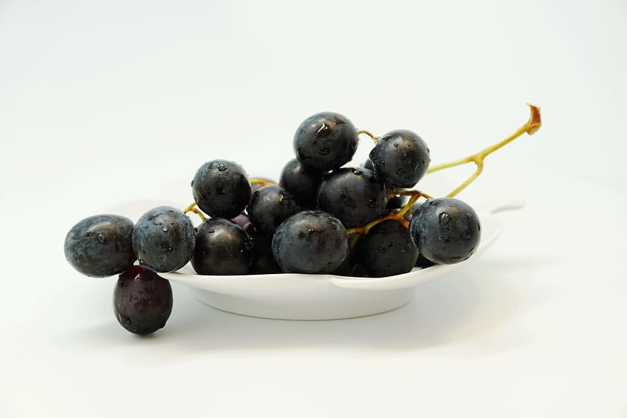 grape, fruit, table grapes, fruits, blue, healthy, food, blue grapes, ripe grapes, red