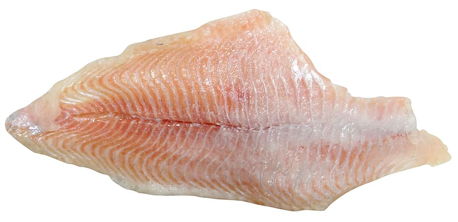 Catfish, Fish, Fillet, Seafood, Cooking, fish, fillet, aquaculture, catch, food, white background