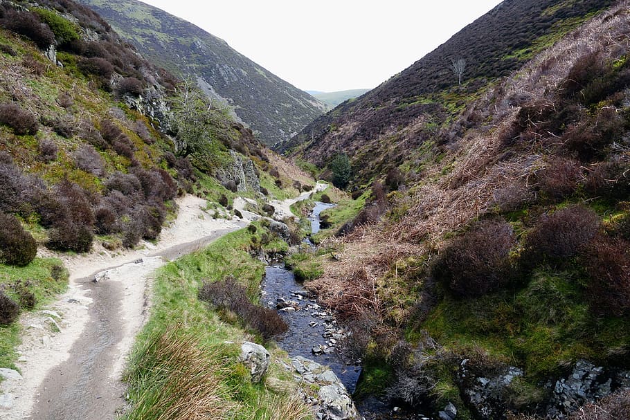 Stream, Carding Mill Valley, Countryside, mill, england, footpath, exercise, health, hiker, hills