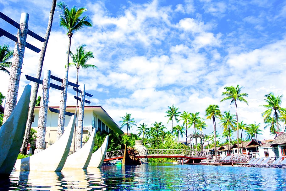 piscina, piscina externa, resort, tailândia, khao lak, feriado, vocação, verão, coco, céu