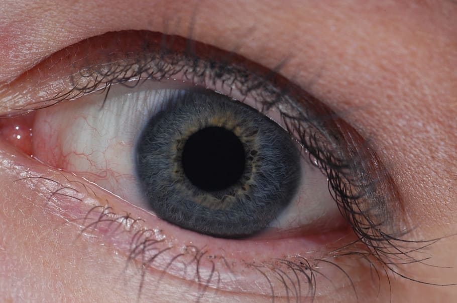 ojo, de cerca, gris azul, sentido, mujer, vista, parte del cuerpo humano, percepción sensorial, parte del cuerpo, ojo humano
