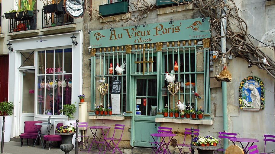 paris, architecture, building, business, flair, building exterior, built structure, window, flower, day