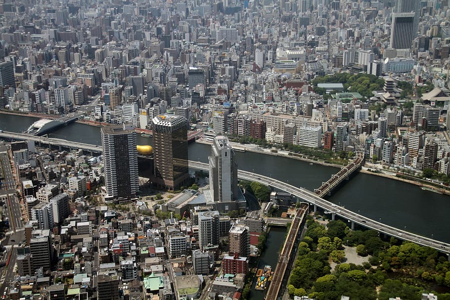 bird, eye view, city buildings, view, tokyo, japan, tower, skytree, landmark, urban