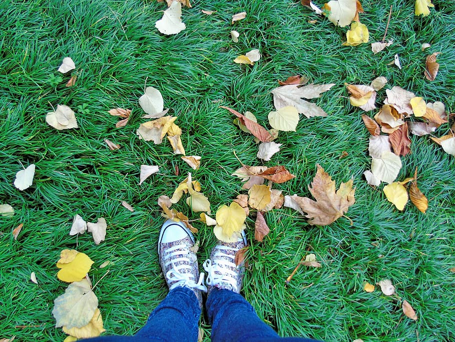 Feet, Lawn, Soil, Traveller, autumn, travel, air, waiting for you, destination, tourism