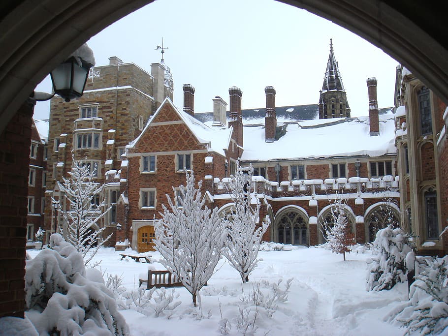 cubiertas de nieve, marrón, hormigón, casa, yale, cielo, edificios, campus, arquitectura, colegio