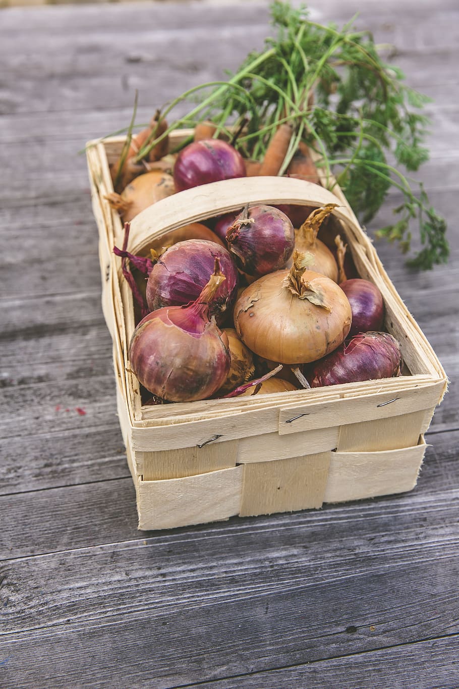 shallots in basket, vegetables, harvest, cultivation, thanksgiving, garden, frisch, onions, carrots, colorful