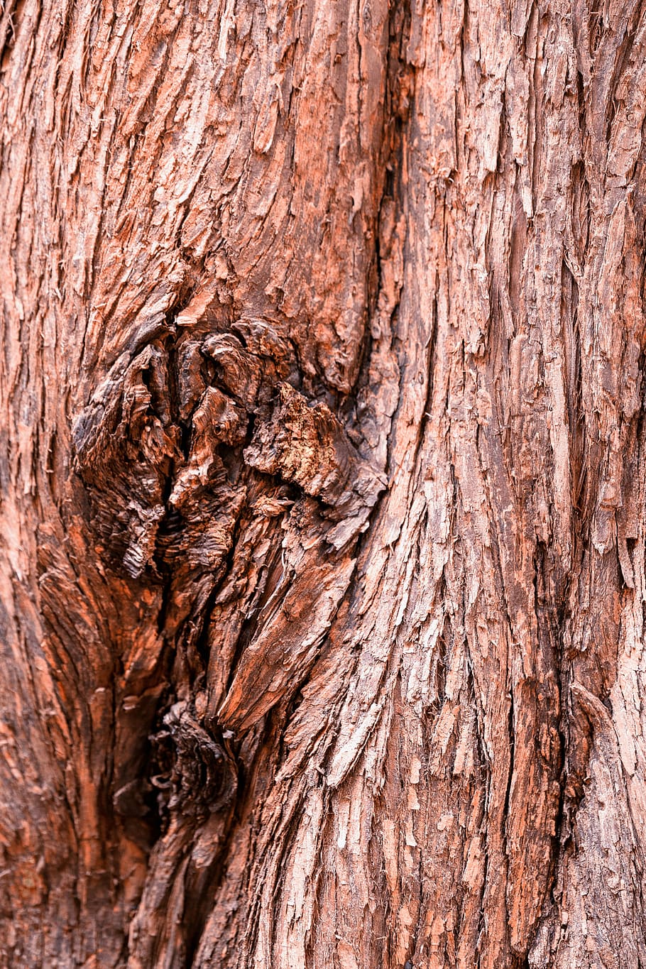 wood, tree, bark, old, nature, texture, pattern, rau, tribe, dry