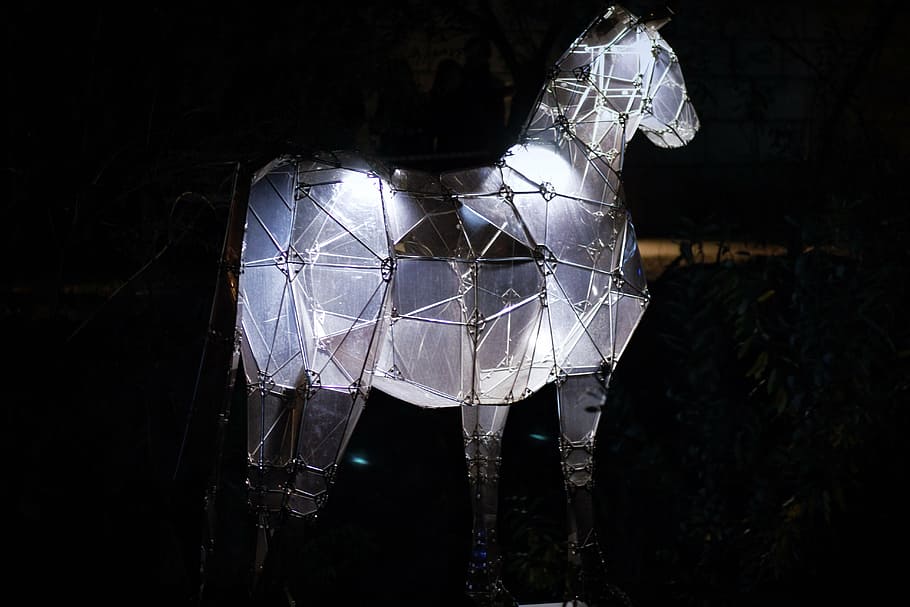 horse, animal, night, light, night view, lantern, illuminated, lighting equipment, nature, indoors