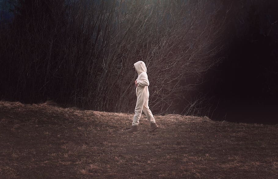 Person, Human, Suit, Bear, Nature, bear suit, walking, night, full length, one person
