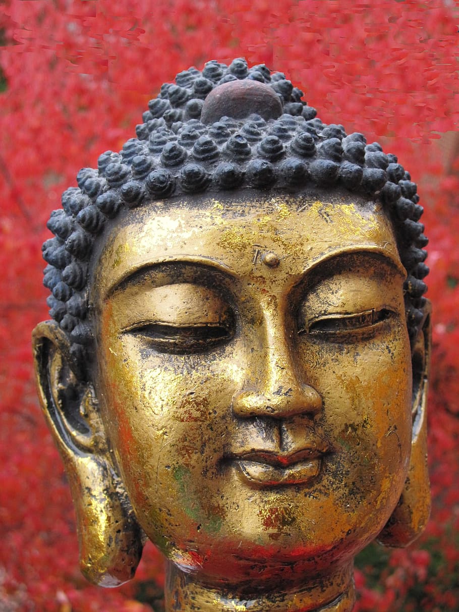 close-up photography, buddha figurine, siddhartha gautama, buddha, head, religion, transcendence, buddhism, reincarnation, harmony
