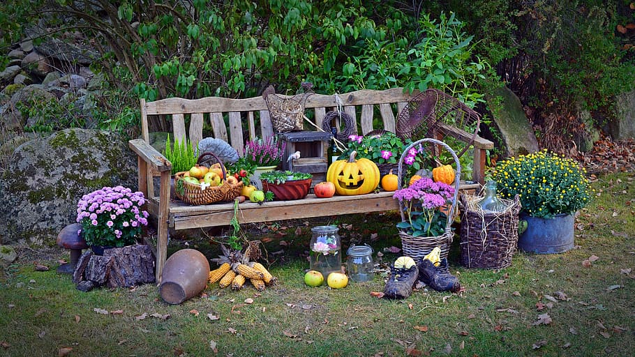 frutas, silla de banco, plantas, cosecha, festival de la cosecha, acción de gracias, decoración, decoración de otoño, otoño, naturaleza