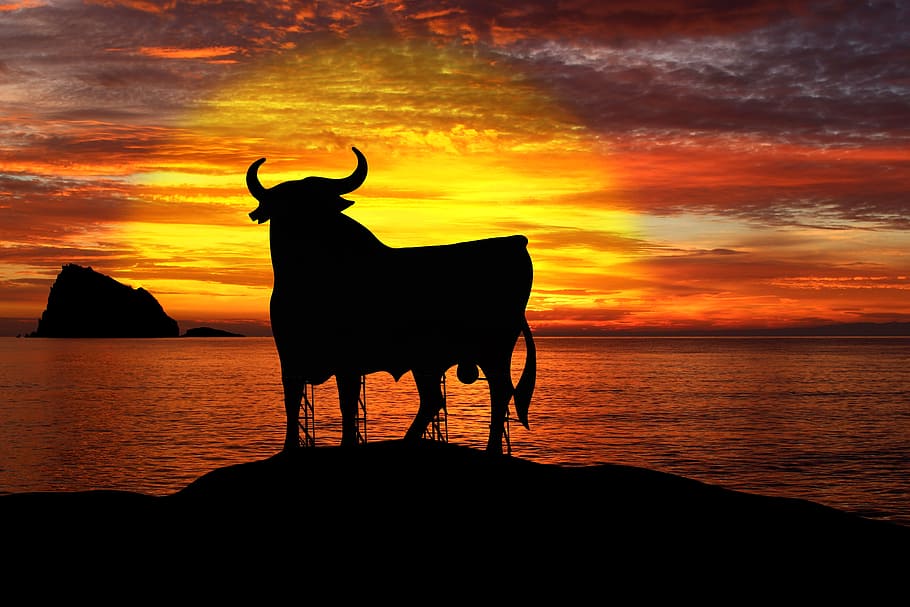 osborne-bull-spain-summer.jpg