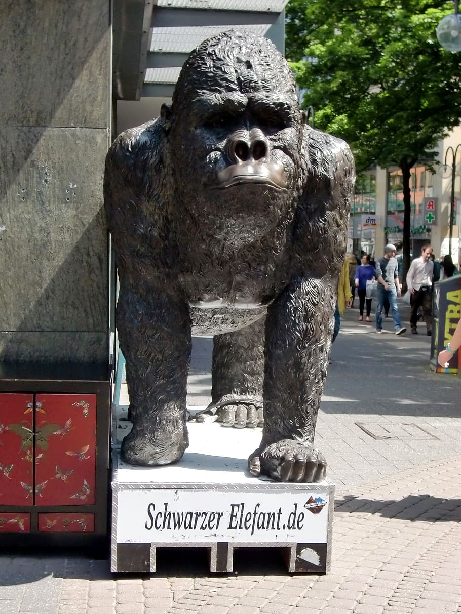 gorila, mono, figura, gracioso, elefante, confusión, falso, sombrío, escultura, representación