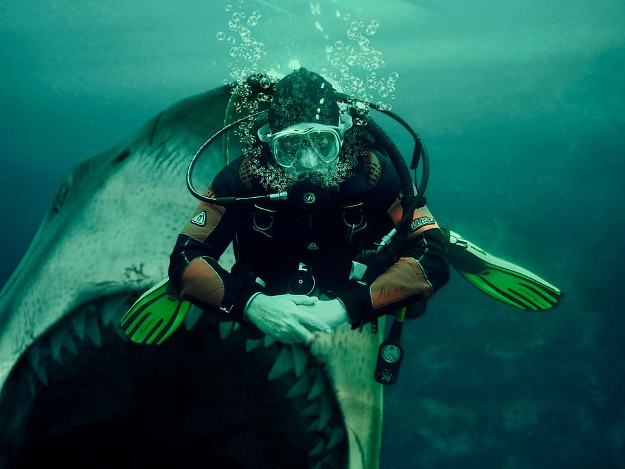 tubarão, mergulhador, submarino, oxigênio, bolhas, homem, perigo, tubarões, marinha, mergulho