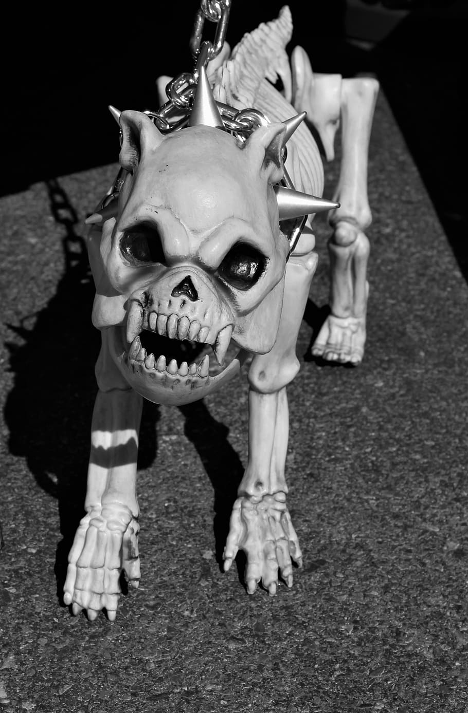 skeleton dog, watch dog, spiked dog collar, gothic, dead dog, snarling, barking, vicious, skull face, halloween