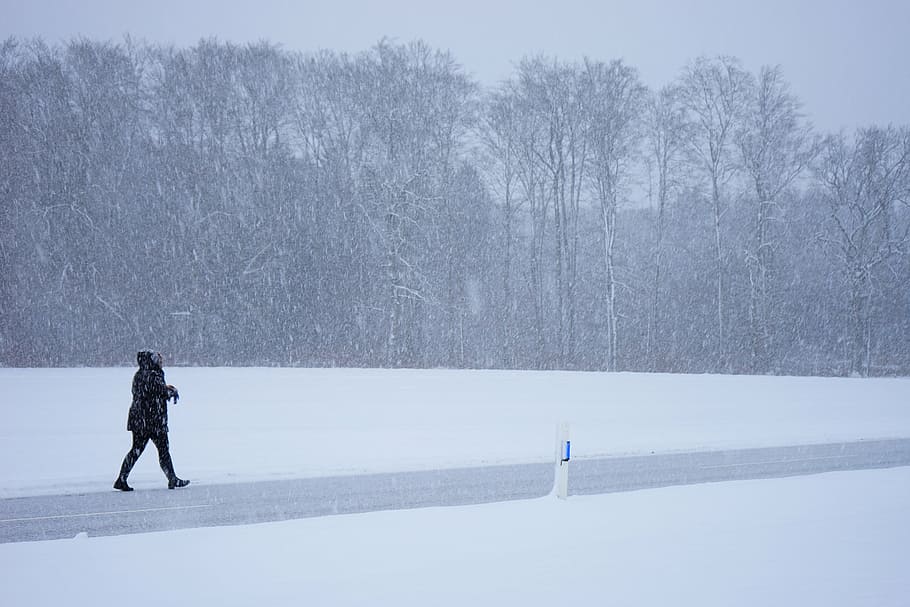 person, walking, gray, road, surrounded, snow, blizzard, escape, way home, winter storm