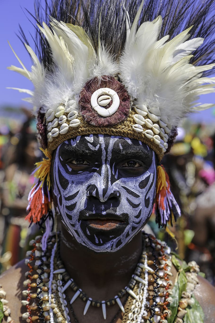 culture, face paint, cultural, handsome, warrior, papua new guinea, mask, disguise, close-up, focus on foreground