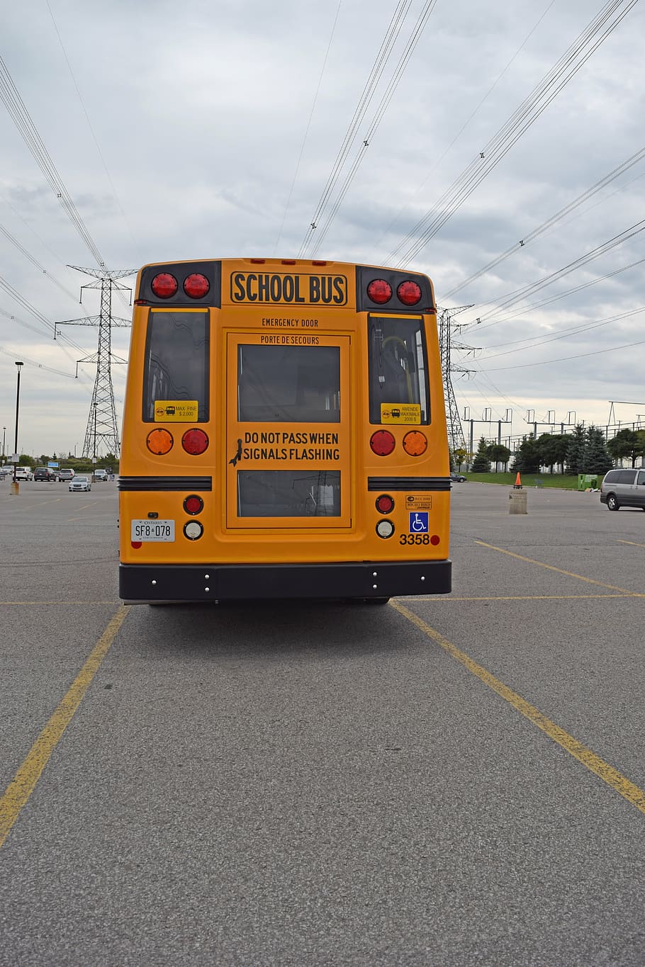 school bus, back, orange, school, bus, education, transportation, vehicle, safety, schoolbus