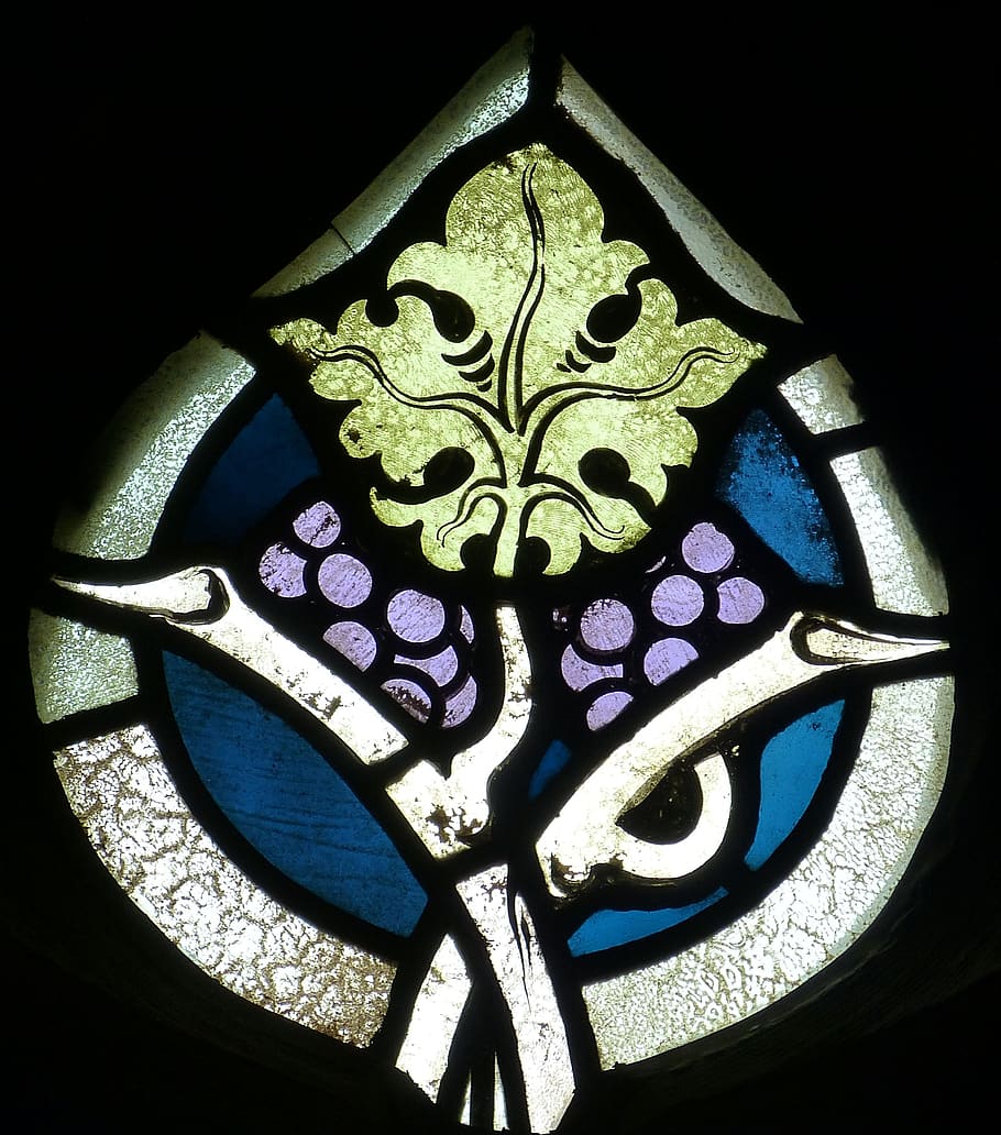 church, window, church window, stained glass, stained glass window, historically, gothic, grape, leaf, ornament