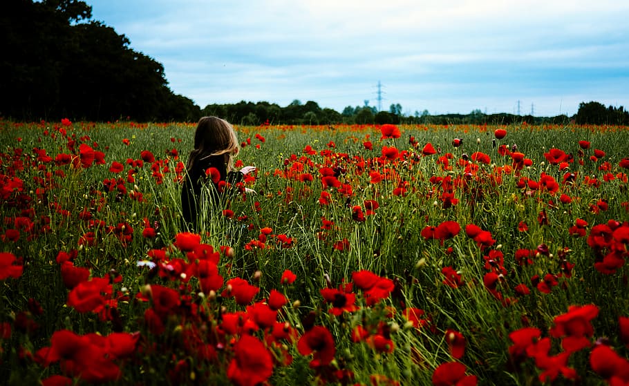 people, woman, girl, alone, solo, field, nature, trees, red, flowers