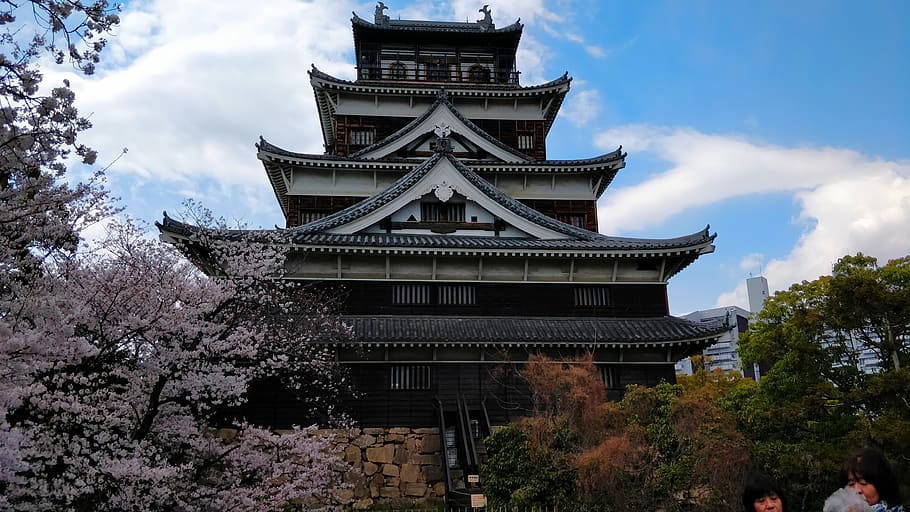 castillo, japón, sakura, arquitectura, edificio, historia, cereza, rosa, árboles, fuerza