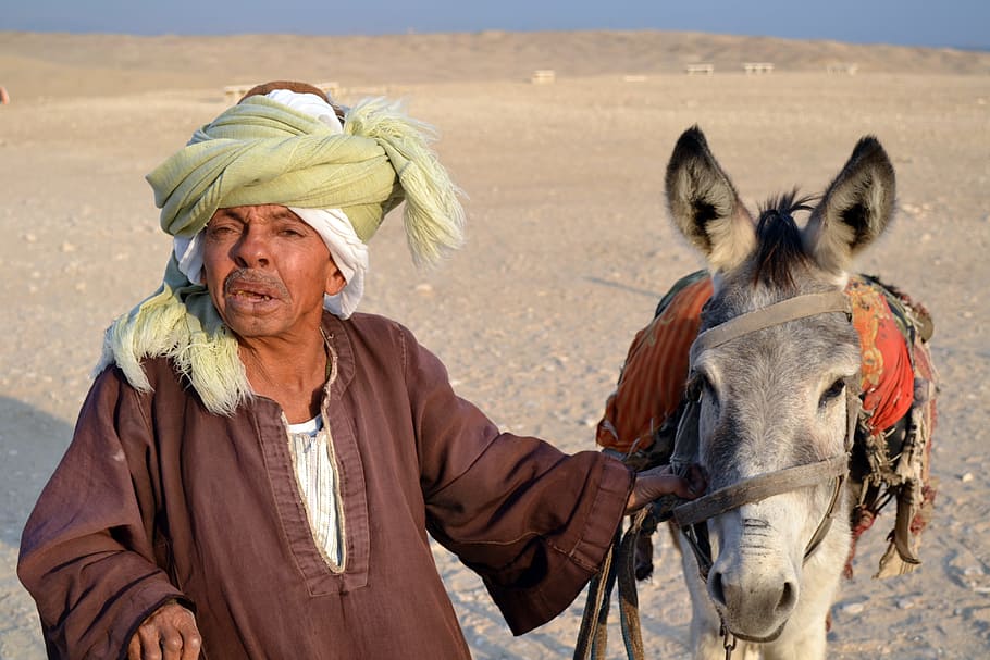 man, wearing, brown, long-sleeved, shirt, donkey, cairo, egypt, people, pyramid
