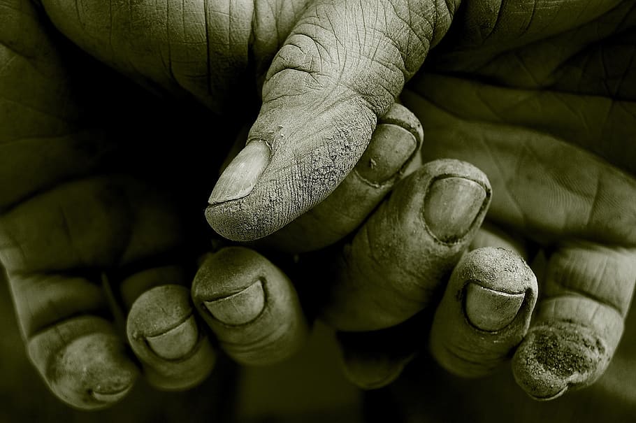 tangan orang, tangan, pekerjaan, jari, kotor, berkebun, manusia, tukang kebun, tangan manusia, bagian tubuh manusia