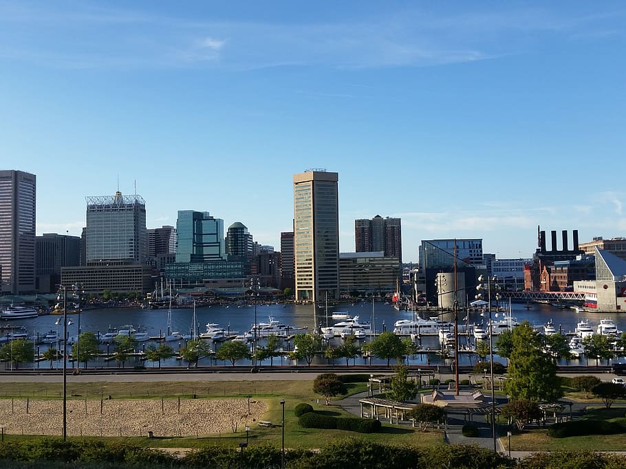 aerial, photography, cityscape, daytime, baltimore, harbor, boats, marina, ships, water