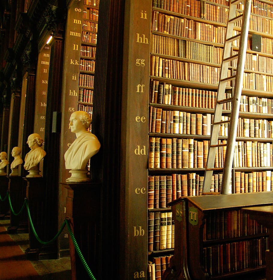 blanco, hombre sin brazos, al lado de la cabeza, libros, biblioteca, Trinity College, Irlanda, Dublín, escala, libro