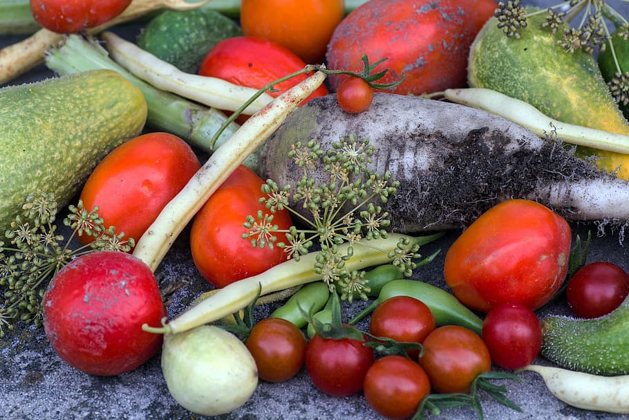 vegetables, cucumbers, tomatoes, garden bean, vegetable, tomato, food, freshness, organic, cucumber