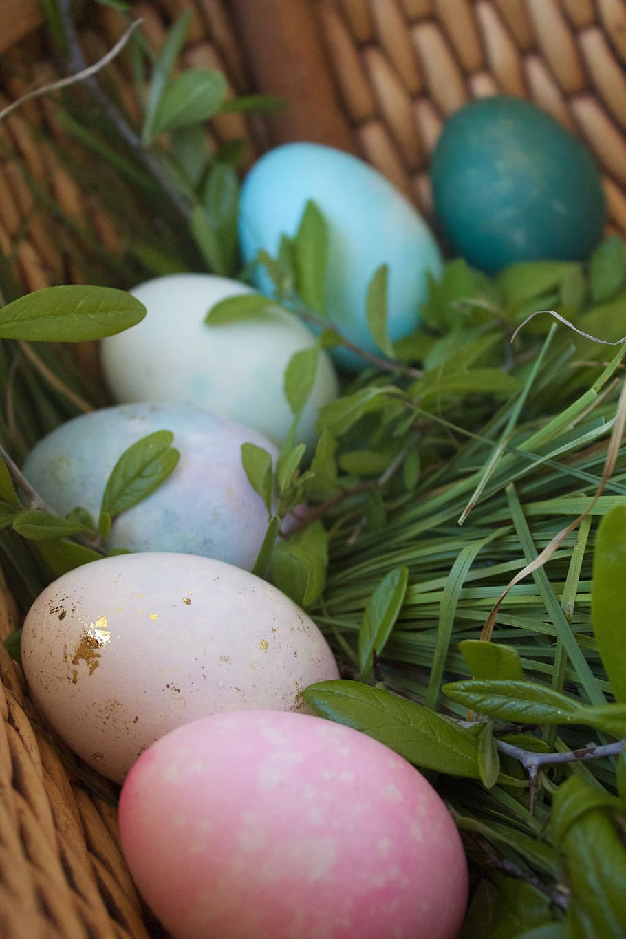 Ovos, Ovo de Páscoa, Férias, Páscoa, Primavera, branco, celebração, cor, verde, colorido