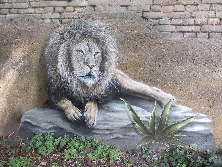 lion, wall art, wall, zoo, berlin, lichtenberg, germany, animal, nature, wildlife photography