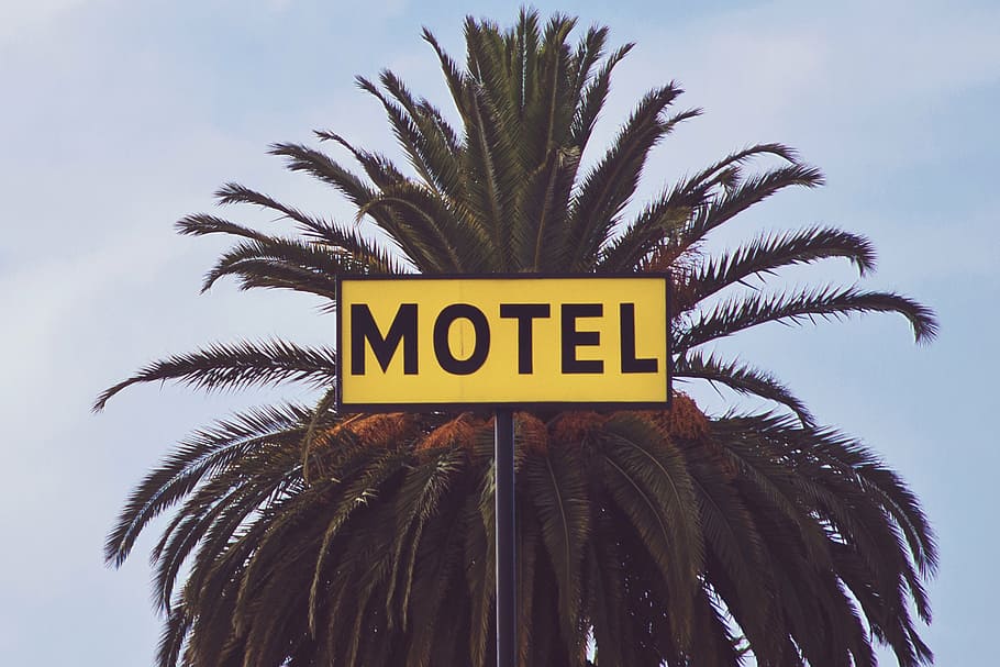 yellow, black, motel signage, green, palm tree, daytime, motel, trees, building, establishment