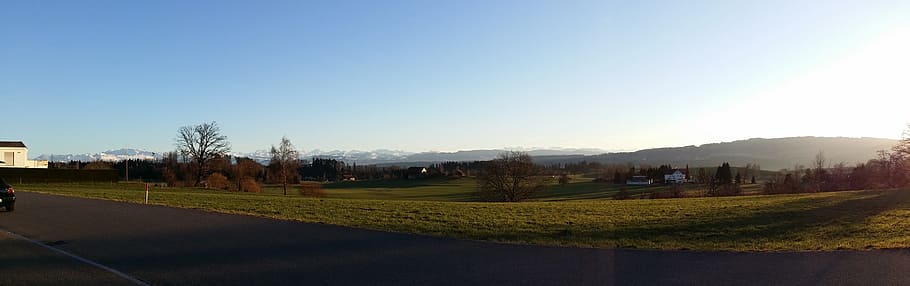 panorama, zurich, home, sky, landscape, environment, nature, tree, clear sky, scenics - nature