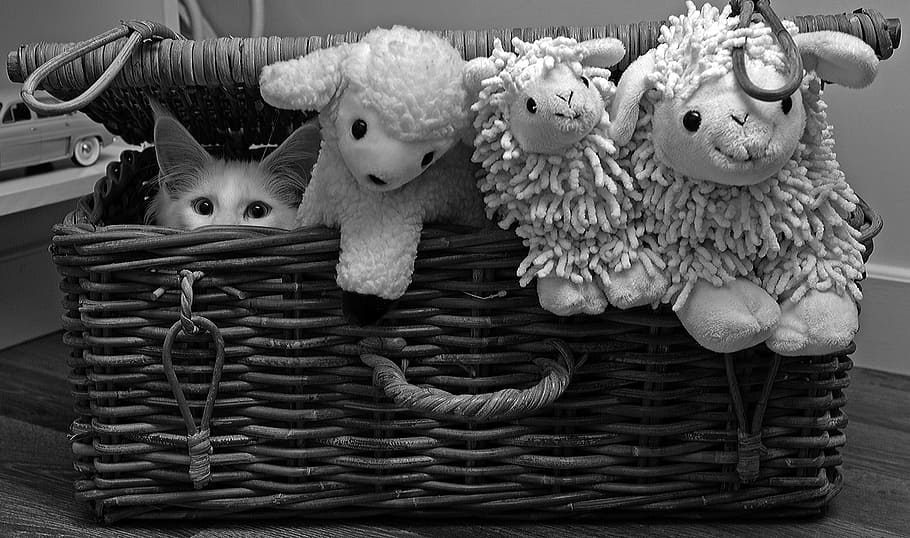 grayscale photo, animal, plush, toys, inside, woven, basket, grayscale, plush toys, cat