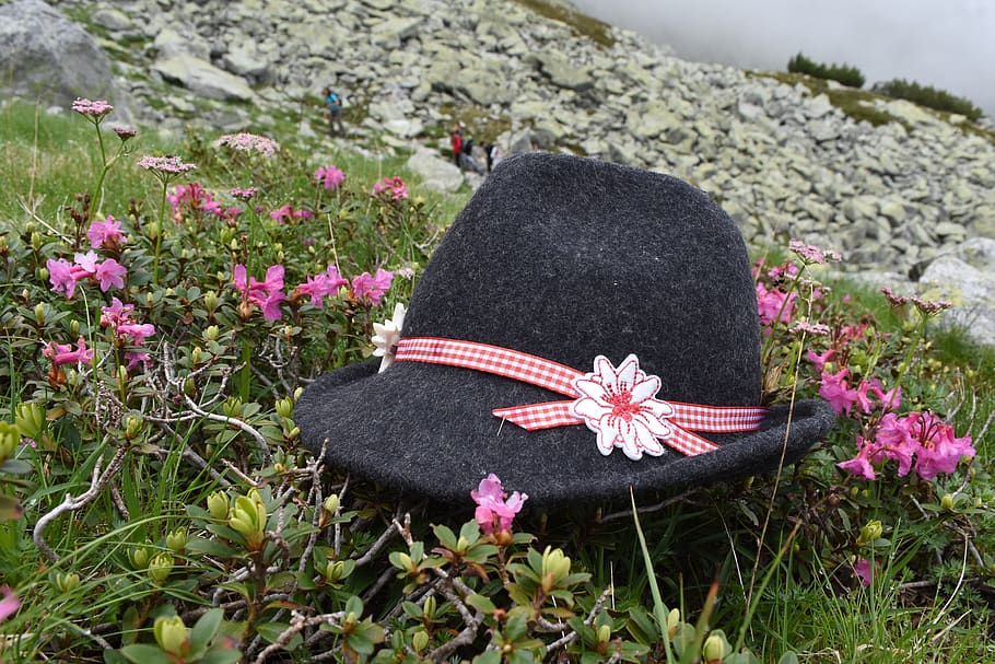 tirol, chapéu, rododendro, flor, planta, natureza, dia, ninguém, close-up, campo
