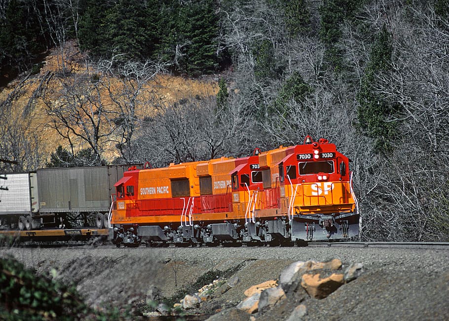 Southern Pacific, Popsicles, train, rails, transportation, mode of transportation, rail transportation, tree, train - vehicle, track