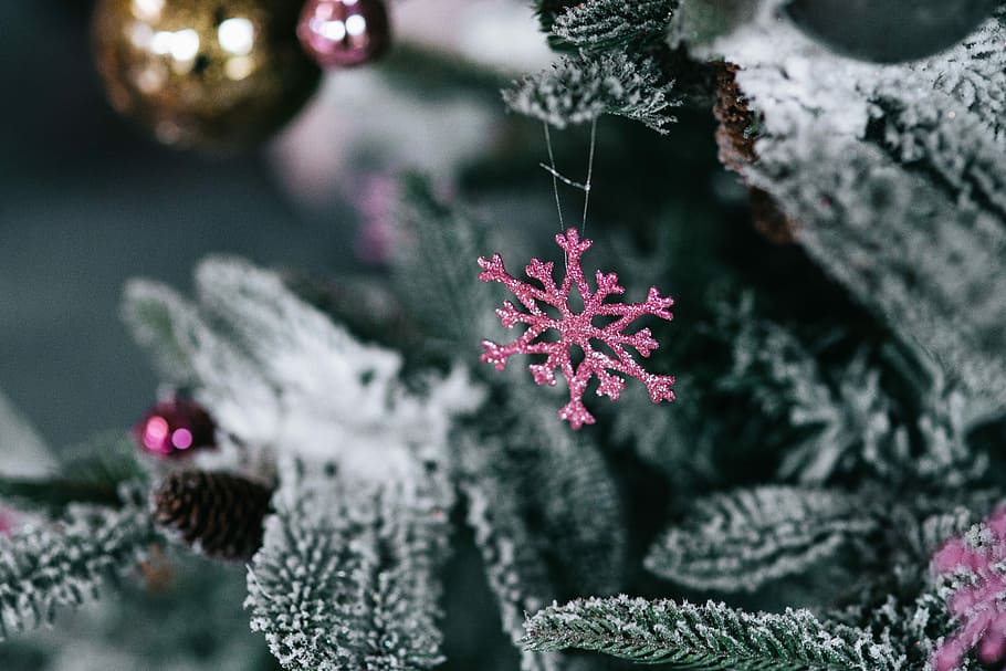 enfeites de árvore de natal, árvore de natal, decorações, árvore, decoração, natal, bolas de natal, bolas, inverno, enfeite de natal