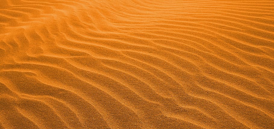 desert during daytime, desert, sand, red, orange, yellow, nature, sahara, africa, land