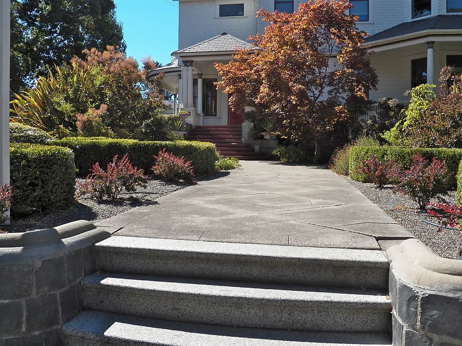 gray concrete pathway, pathway, walkway, front yard, path, outdoor, landscape, stone, walk, way