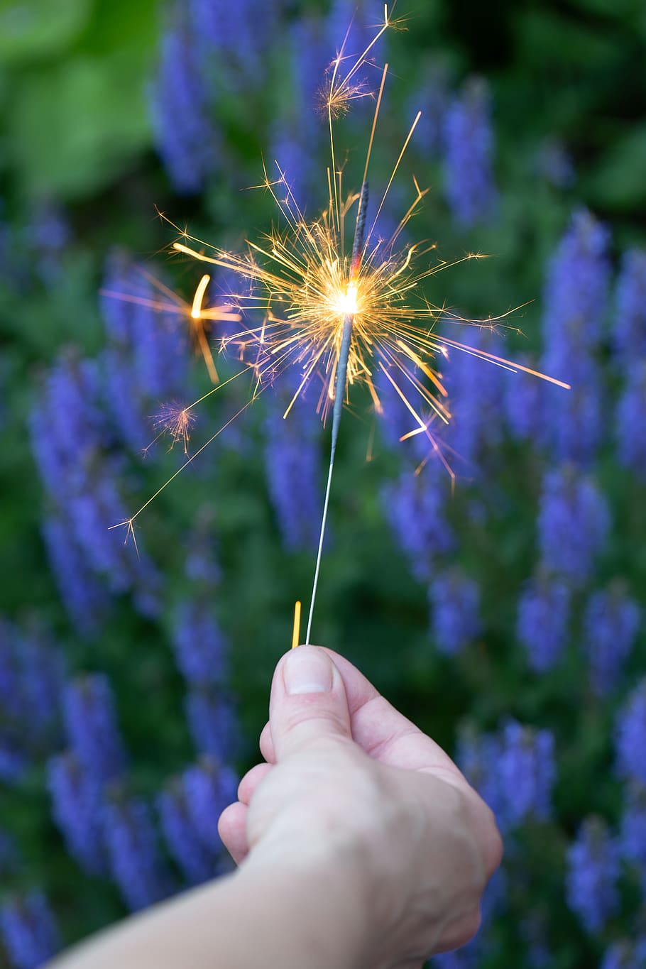 sparklers, fireworks, holiday, celebration, flowers, bokeh, outdoors, summer, fun, hand